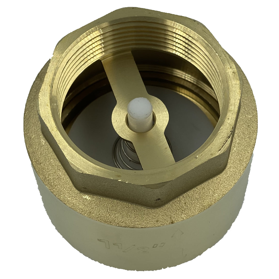 Válvula Retención - Check Vertical 3