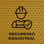 Seguridad Industrial